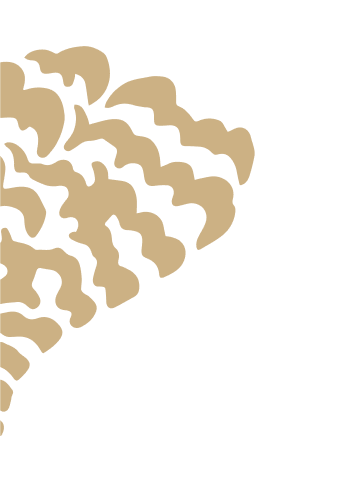 casino chicken road online