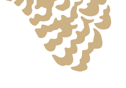 casino chicken road online