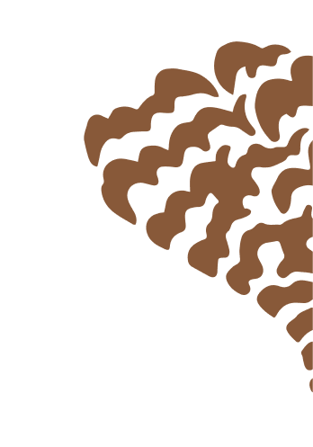 Chicken Ranch Casino Resort | Jamestown's Finest Casino-Resort ...